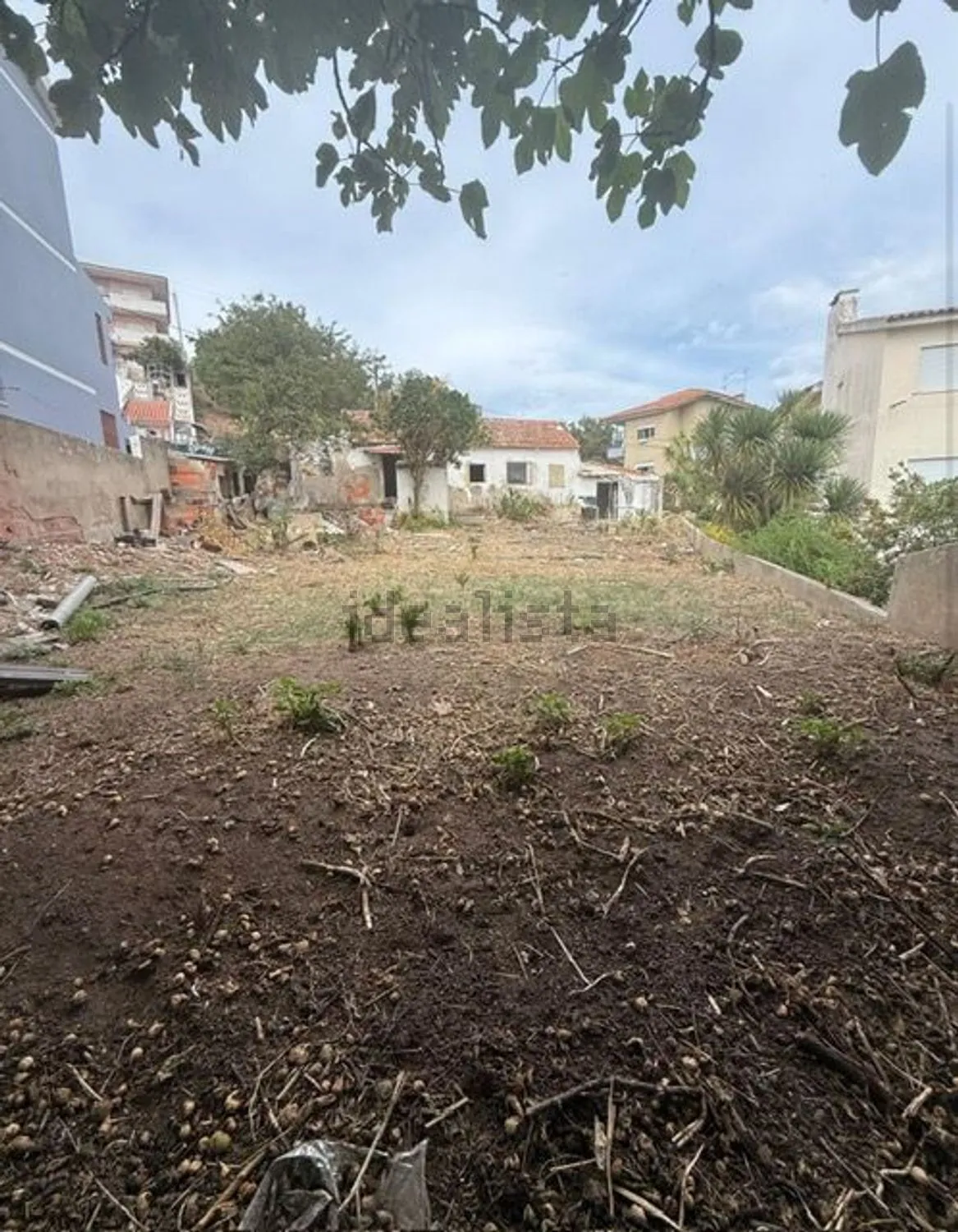 The plot as it is today